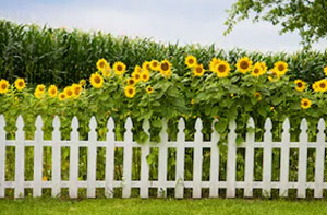 Fencing Contractors Birmingham West Midlands Fencing Contractors Birmingham West Midlands