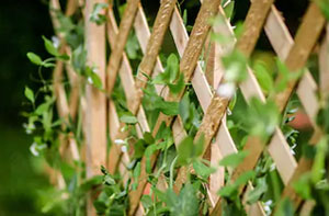 Fencing Contractors Barrow-in-Furness Cumbria Fencing Contractors Barrow-in-Furness Cumbria
