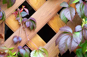 Fencing Contractors Cirencester Gloucestershire Fencing Contractors Cirencester Gloucestershire